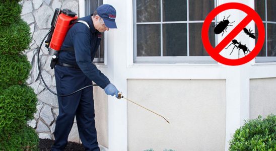 Süleymanpaşa Dezenfeksiyon böcek ilaçlama ve haşere kontrolü — ilaclama-tr.com